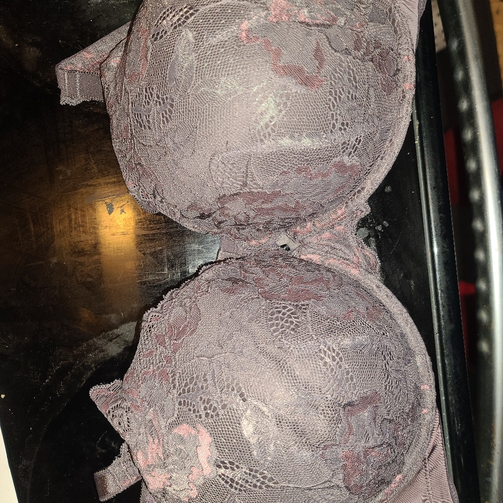 Torrid bra